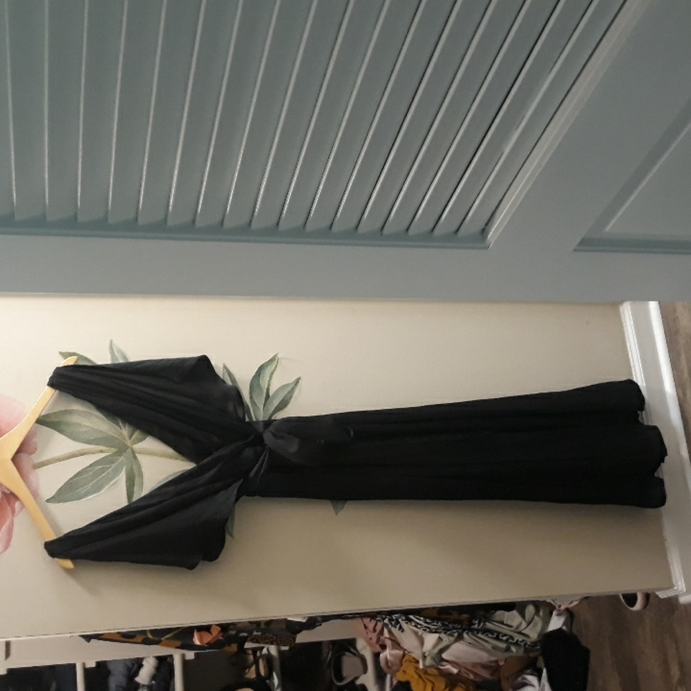 Express silk jumpsuit size large zips up the back